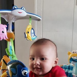 Meet your Posher, Mari